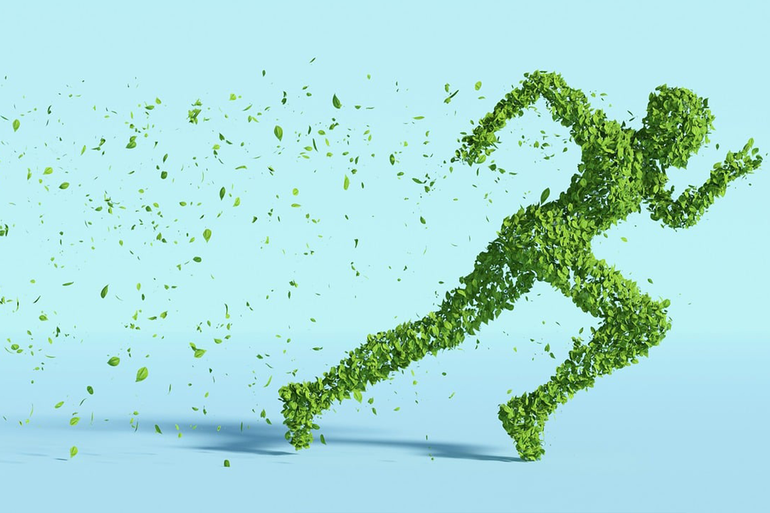 leaves-human-sustainability-5591441 leaves, human, sustainability-5591441.jpg